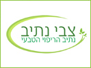 עיצוב לוגו | Energy Systems